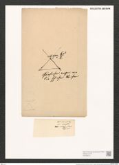 Pleurosigma marinum Donk. (de-Toni-Nr.: Genus 13, Species 1009) Zeichnungen Sammlung Grunow (NHMW-BOT-W0368913)